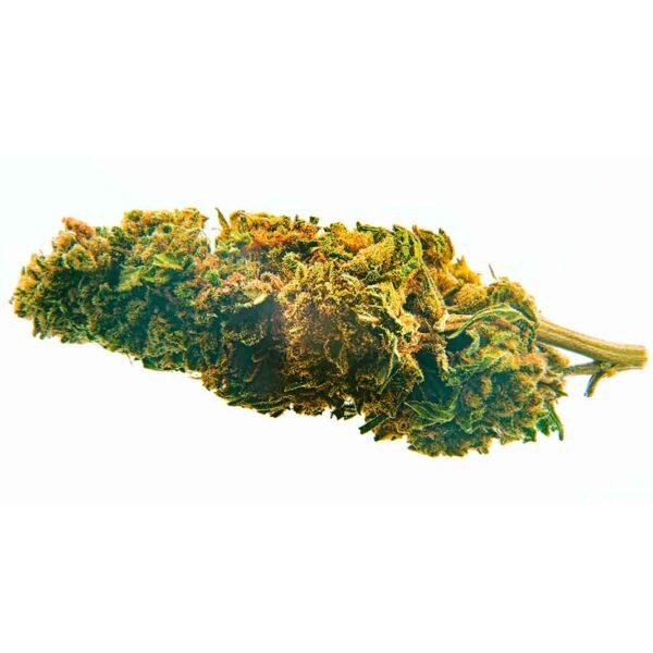 Blueberry - Imagen 2