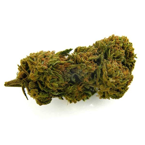 Gelato - Imagen 2