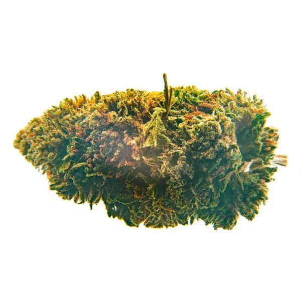 White Widow - Imagen 5