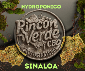 Sinaloa