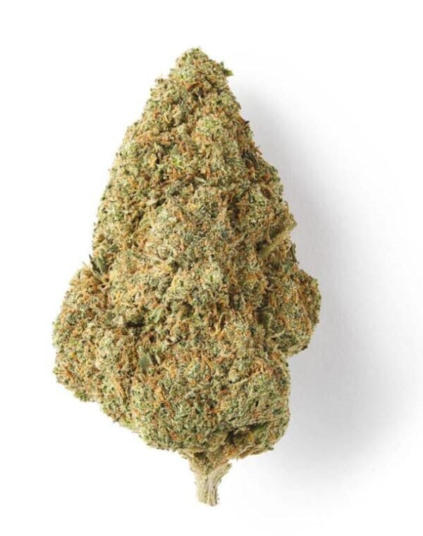 Mango Haze