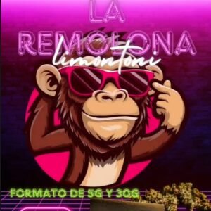 Remolona